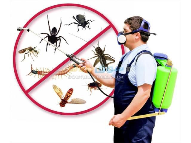 رش مبيدات ،مكافحة الحشرات ،عقود معتمدة للبلدية - Image 9
