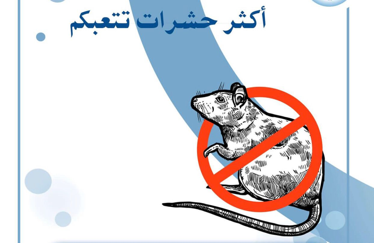رش مبيدات ،مكافحة الحشرات ،عقود معتمدة للبلدية - Image 14