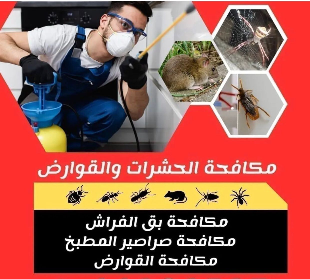 رش مبيدات ،مكافحة الحشرات ،عقود معتمدة للبلدية - Image 15