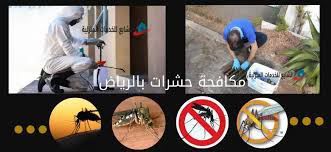 شركة تنظيف شقق فلل بالرياض - Image 5