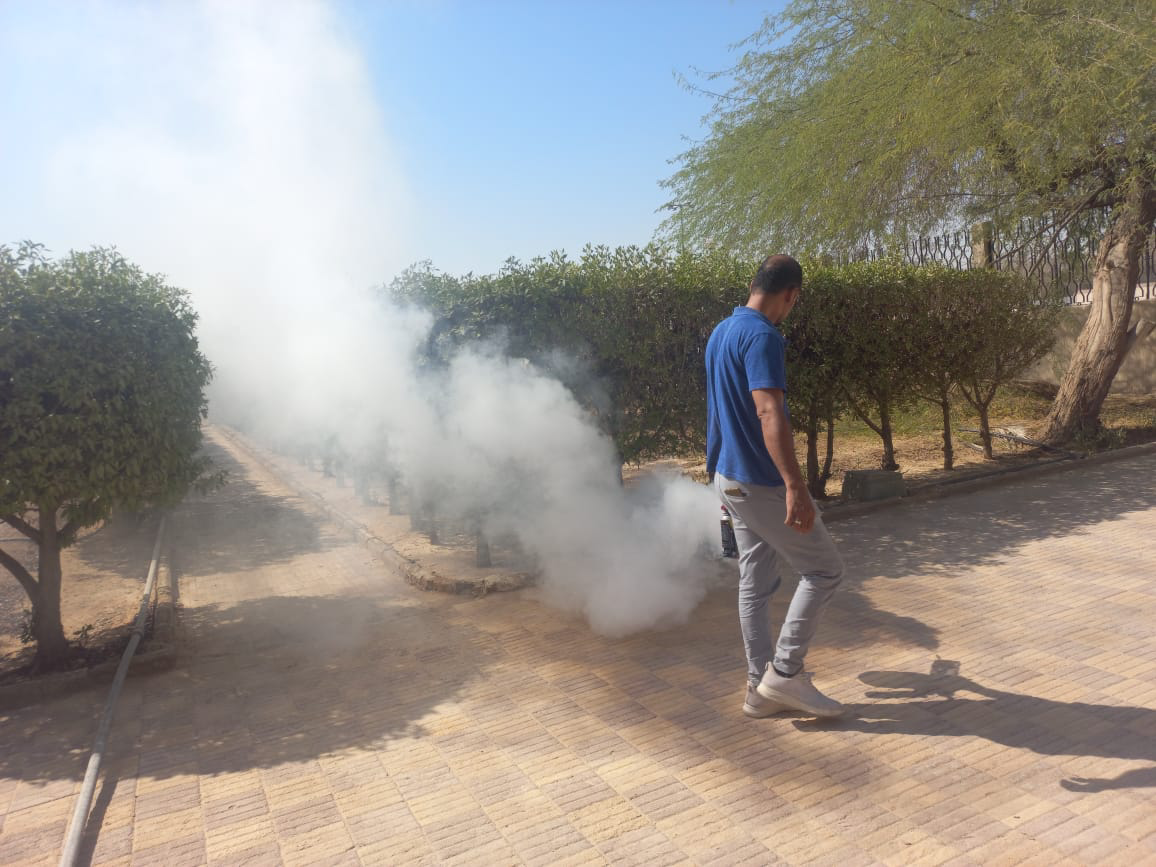 شركه مكافحه حشرات بالرياض - Image 2