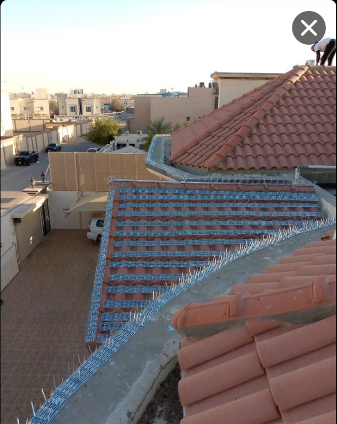 تنظيف خزنات وكنب وسجاد - Image 5