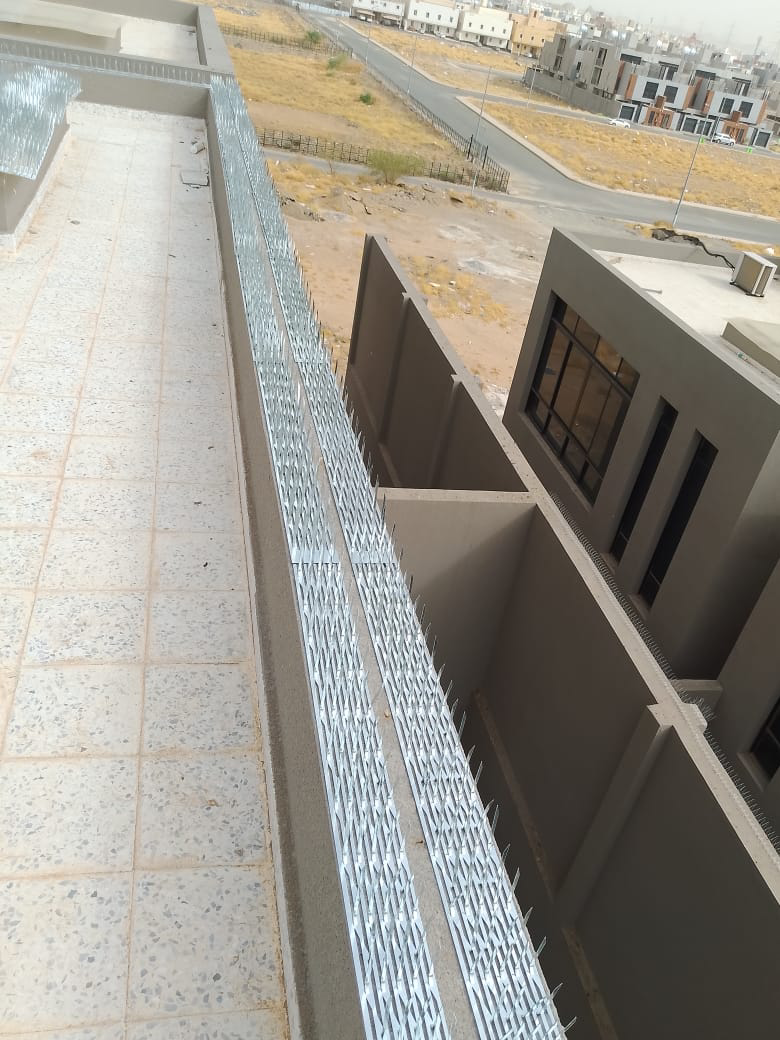 شركة غسيل كنب وسجاد بالبخار في جده - Image 7