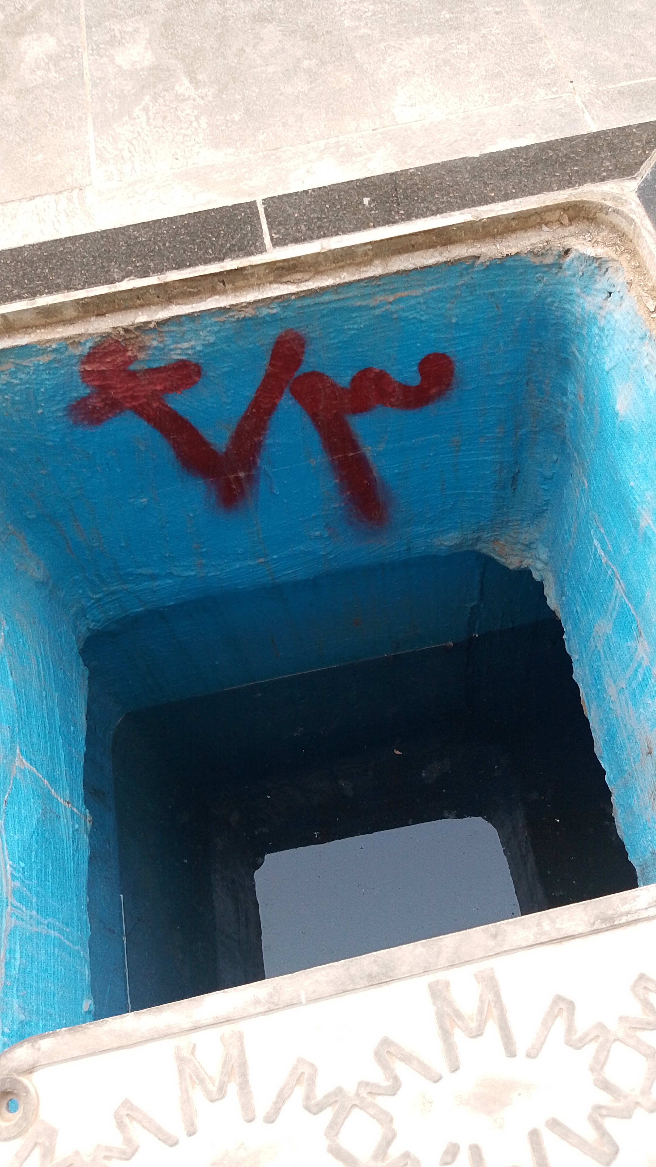 شركه رش الصراصير مكافحة شامله جميع انواع الحشرات - Image 8