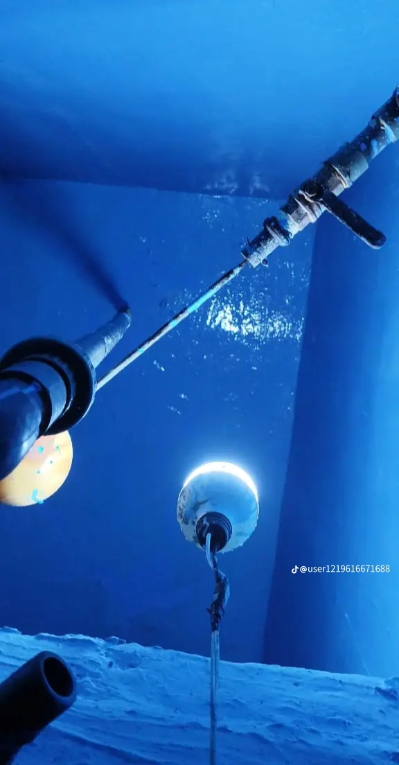 شركه رش الصراصير مكافحة شامله جميع انواع الحشرات - Image 11