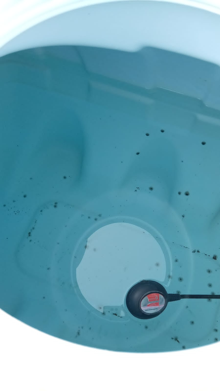 خدمات نظافة عامه  ومكافحة حشرات - Image 4