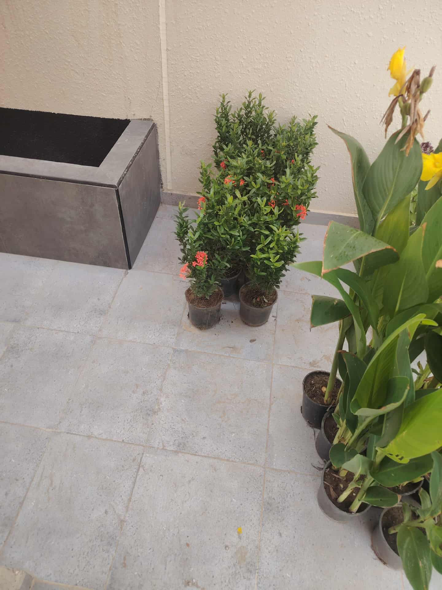 تنسيق حدائق - Image 9