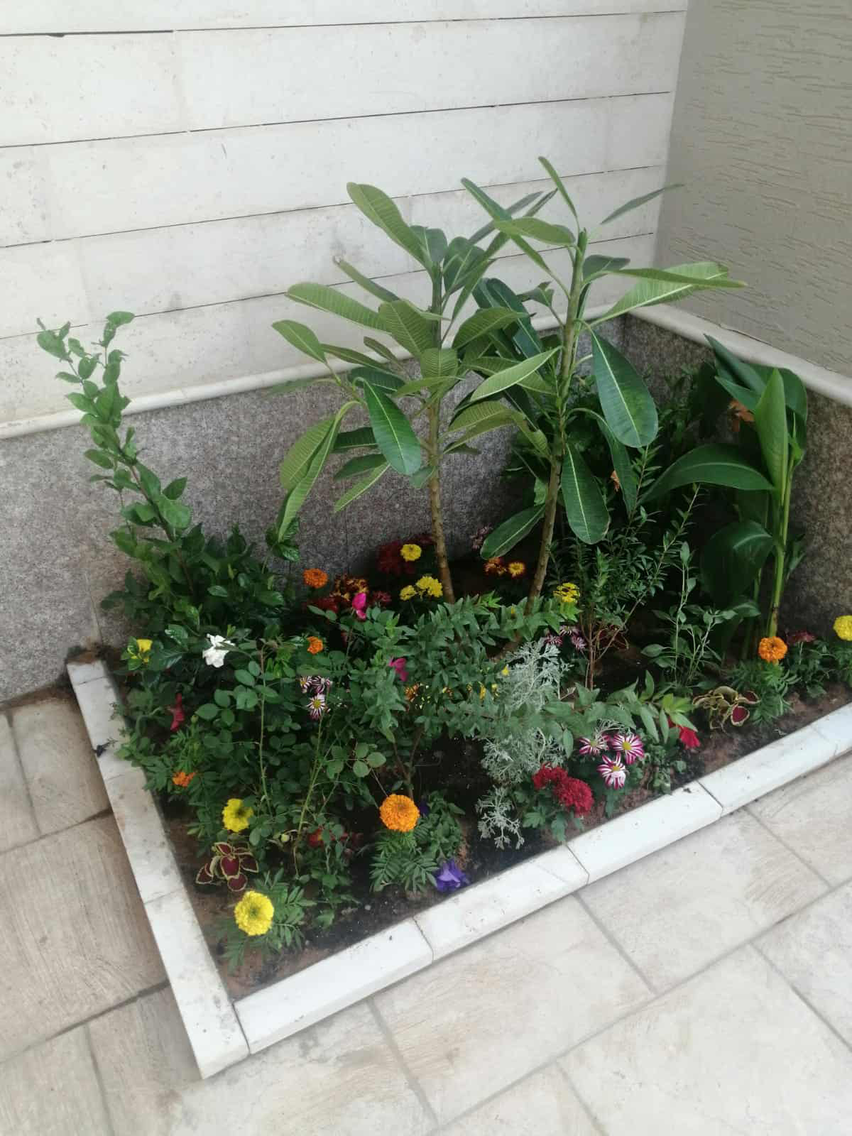 تنسيق حدائق - Image 10