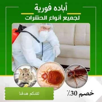 شركة مكافحة حشرات بجدة مكافحة الصراصير البق النمل الابيض الوزغ بجدة - Image 3