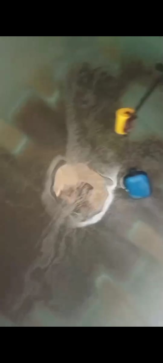 شركه نظافه عامه - Image 5