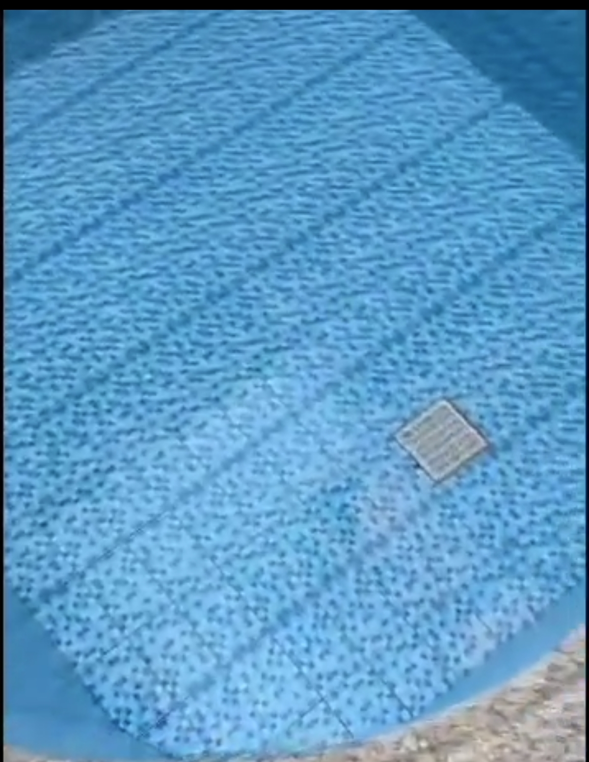 شركه نظافه عامه - Image 13