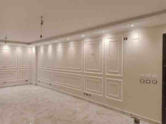 مقاول دهنات مصري