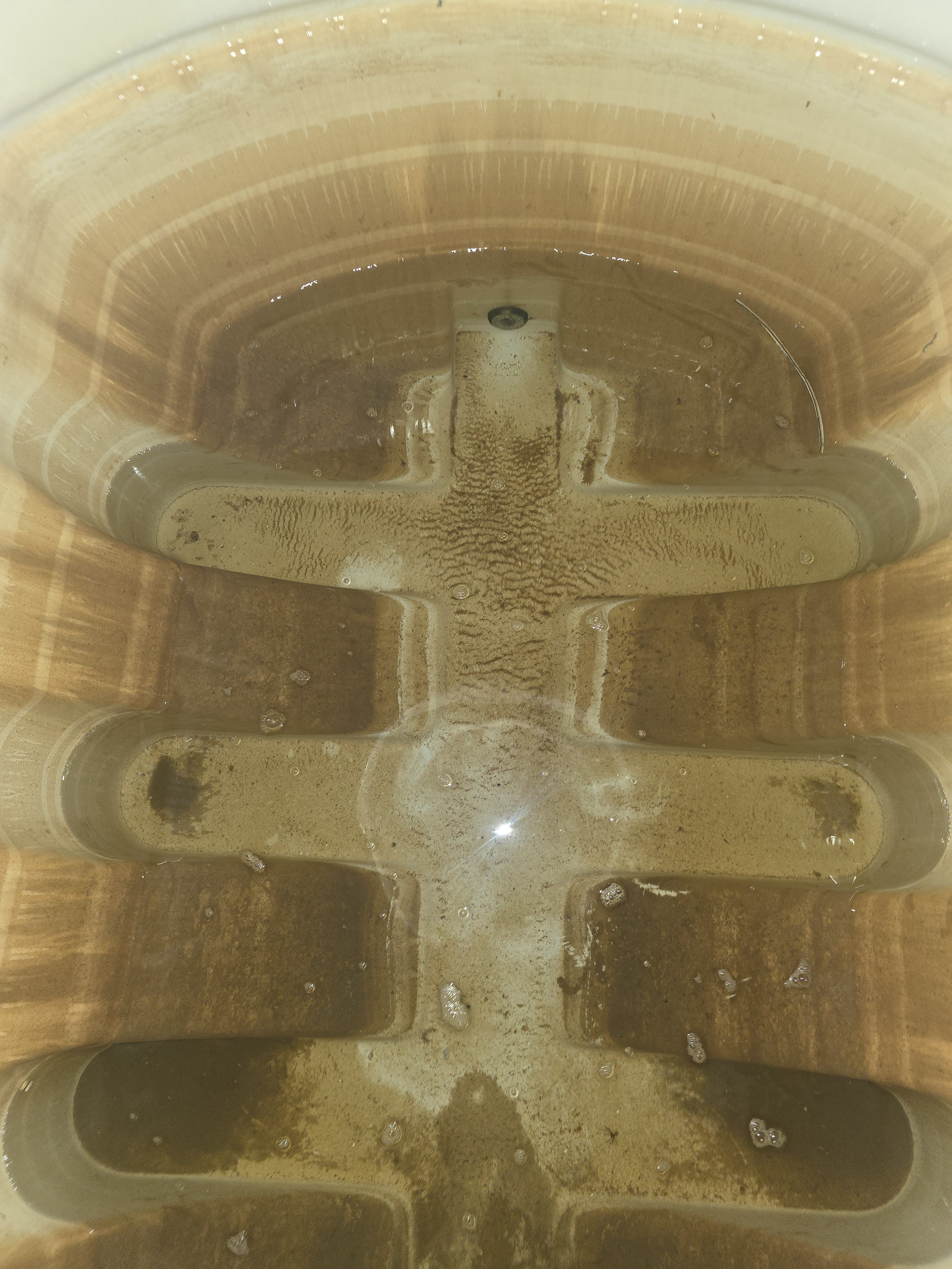 شركة مكافحة حشرات بالدمام شركة تنظيف خزانات بالدمام