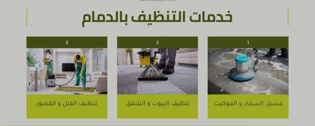 شركة مكافحة حشرات بالدمام شركة تنظيف خزانات بالدمام - Image 4