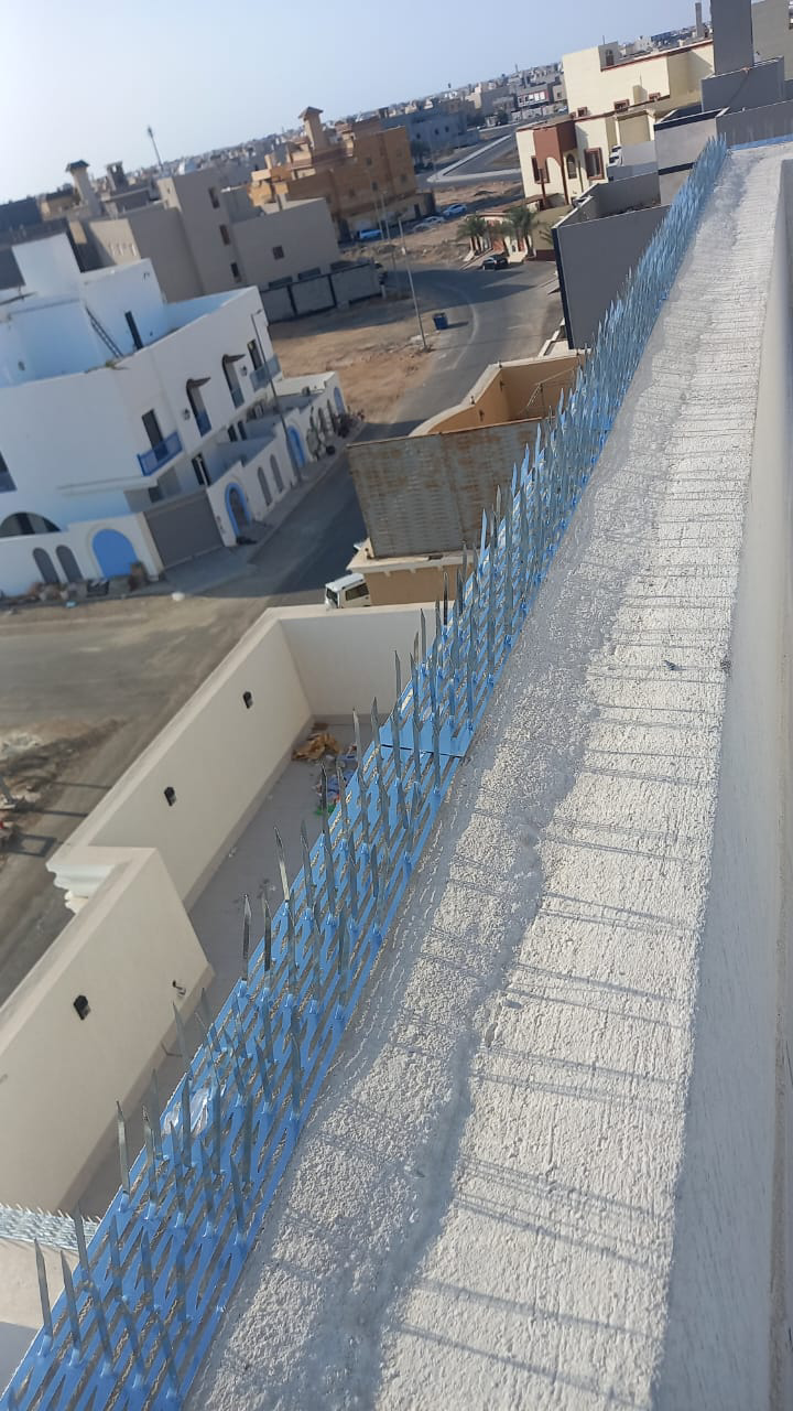 شركة غسيل كنب وسجاد بالبخار في جده - Image 4