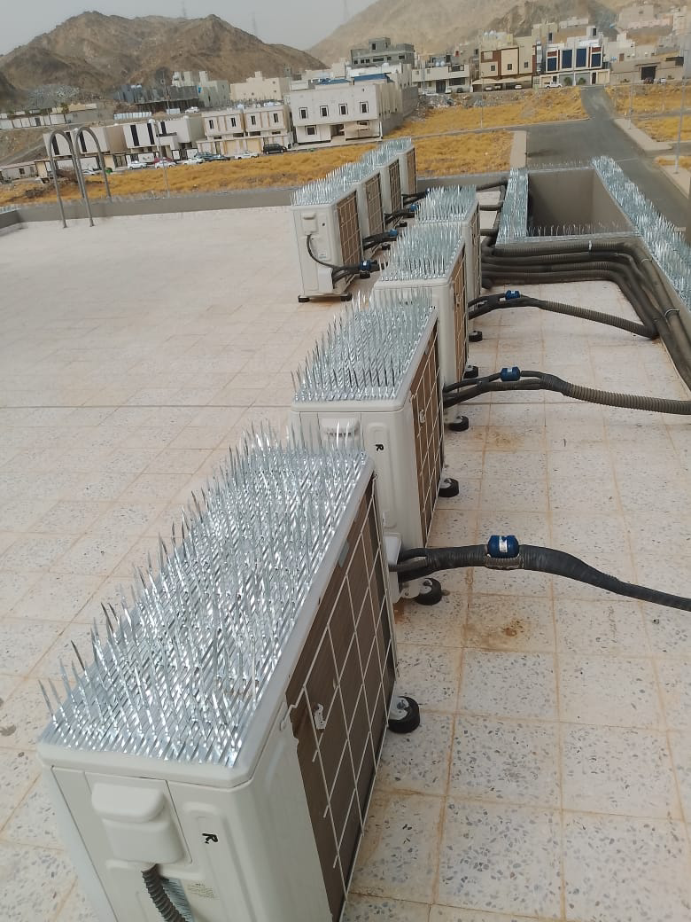 شركة غسيل كنب وسجاد بالبخار في جده - Image 6