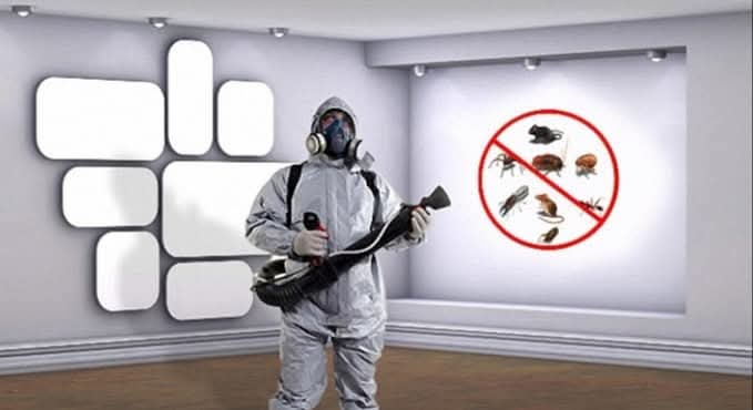 شركه مكافحه جميع انواع الحشرات الطائرة والزاحفه - Image 2