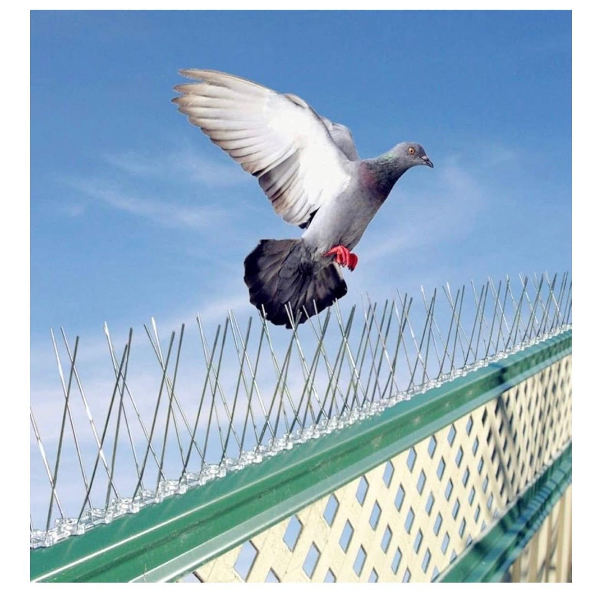 شركه مكافحه جميع انواع الحشرات الطائرة والزاحفه - Image 4