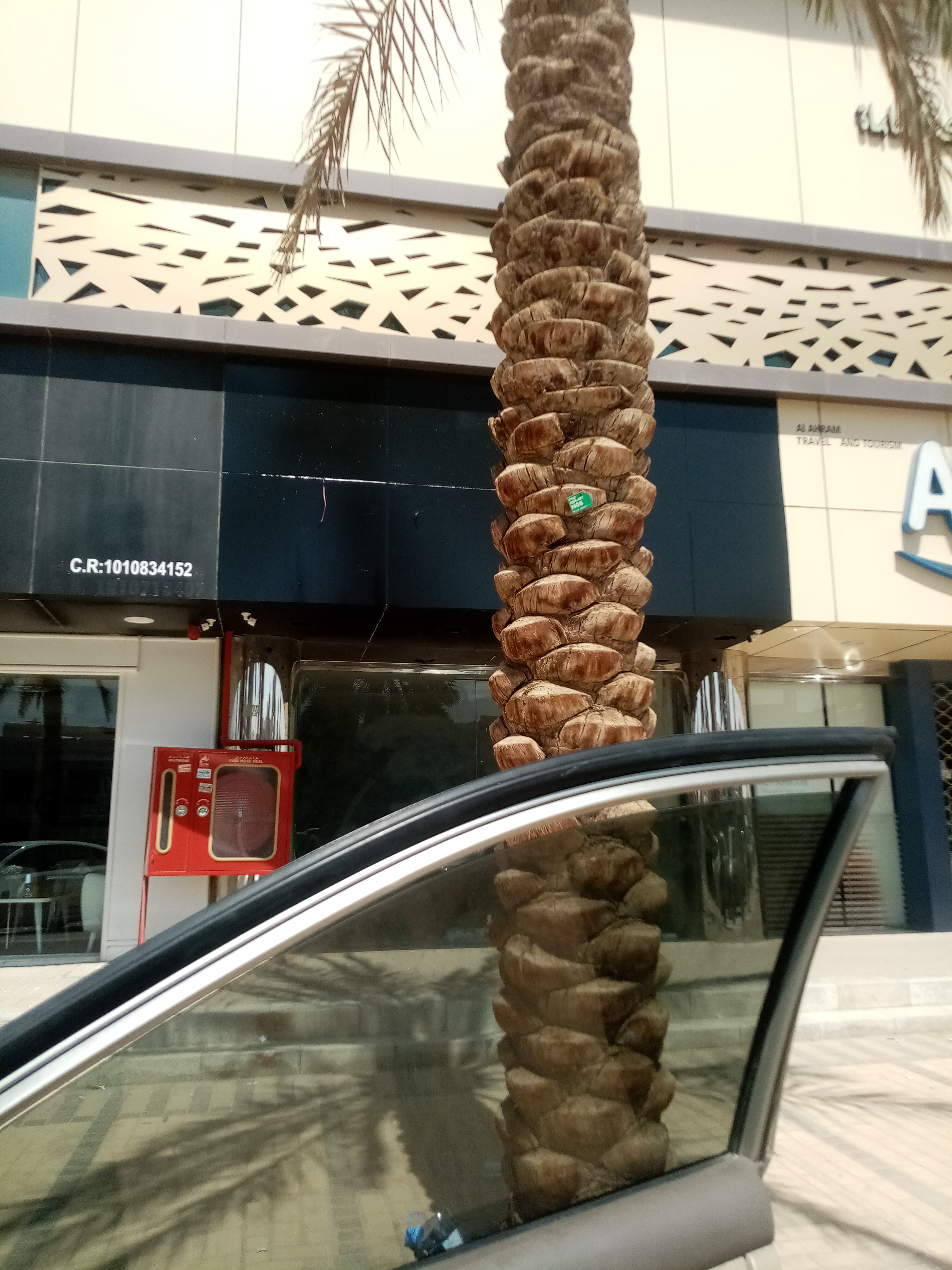 دهانات وديكورات شمال وشرق الرياض - Image 13