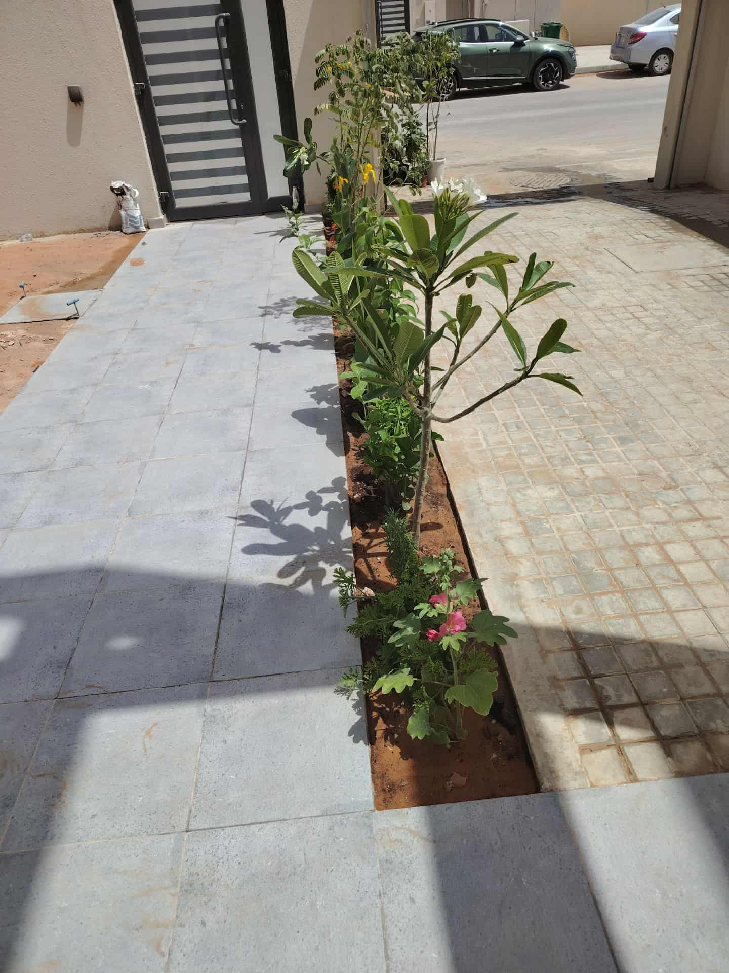 تنسيق حدائق - Image 13