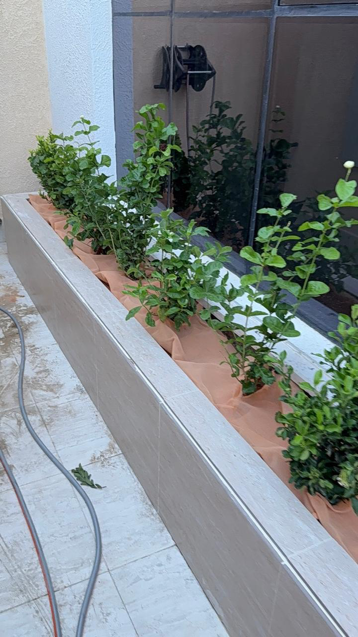 تنسيق حدائق - Image 19