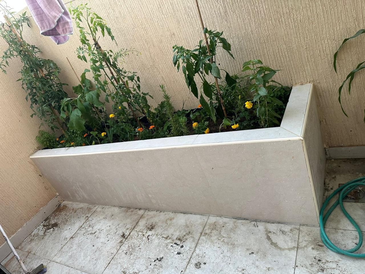 تنسيق حدائق - Image 5