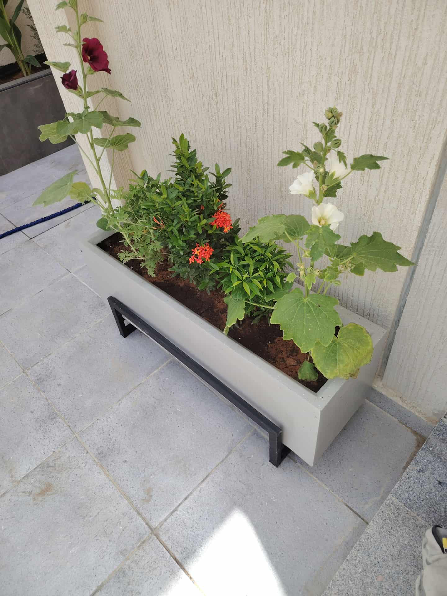 تنسيق حدائق - Image 10