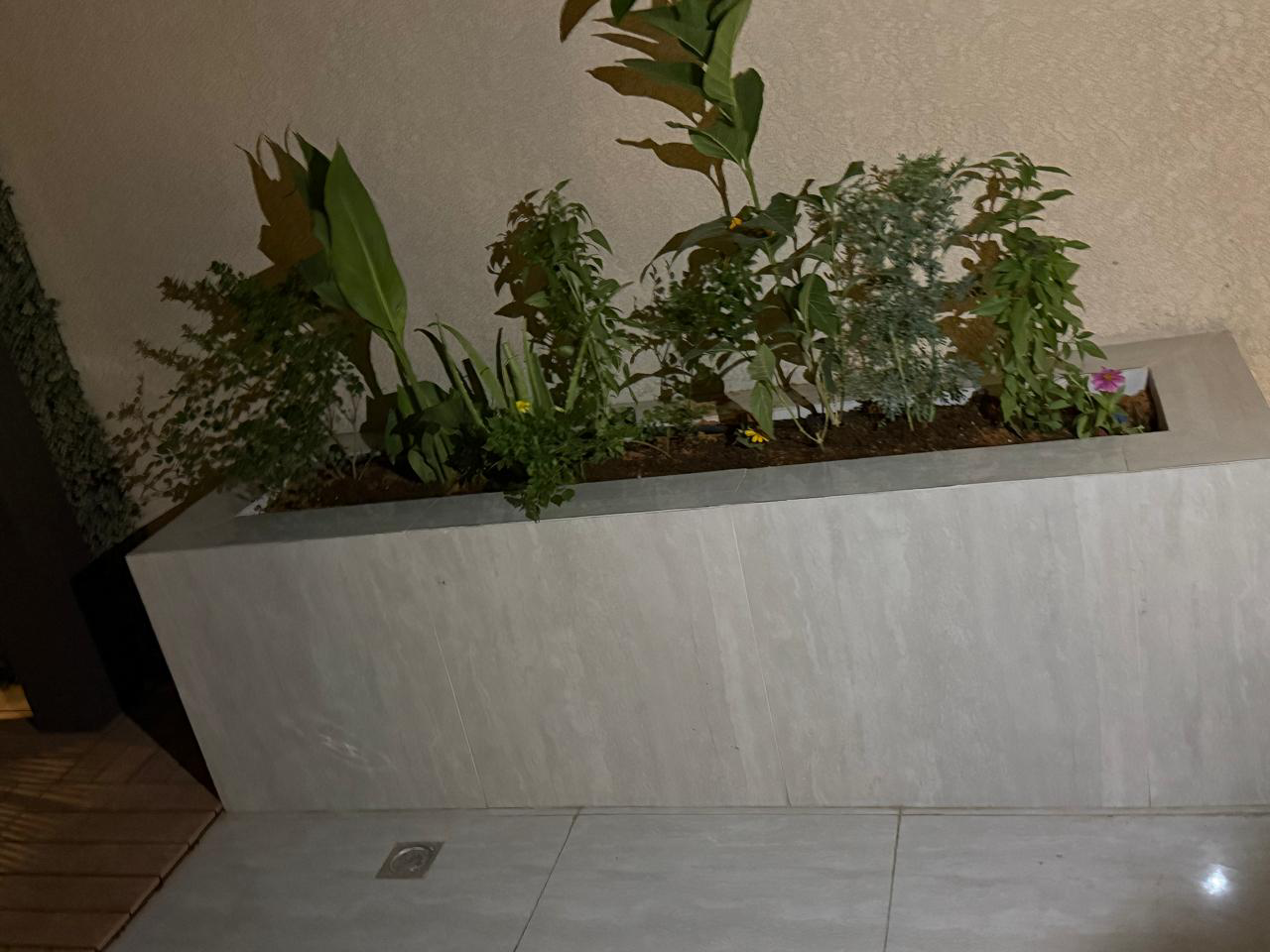 تنسيق حدائق - Image 10